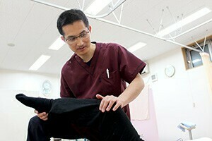 高いレベルの施術